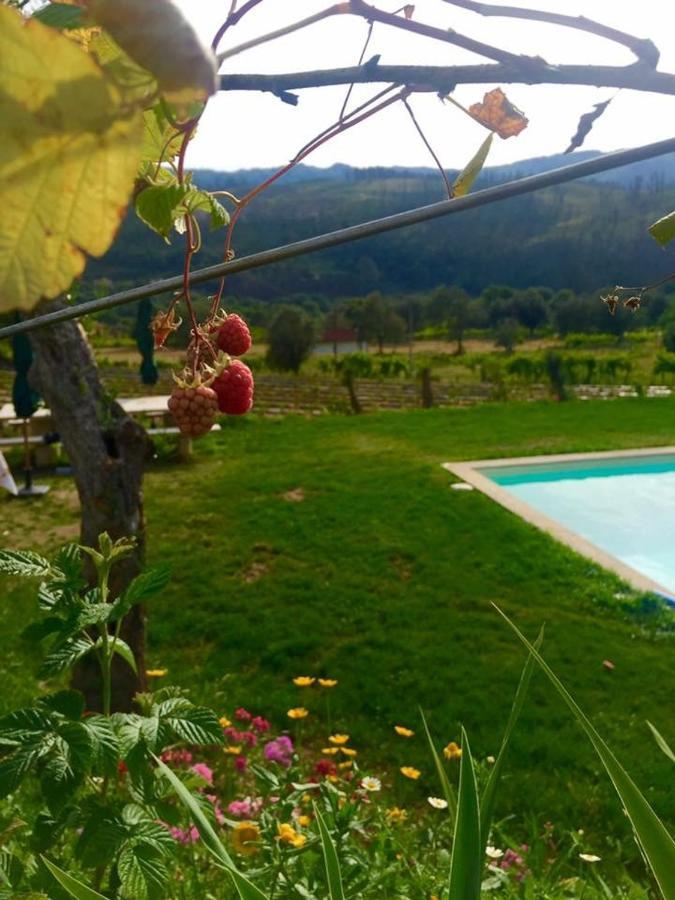 Villa Quinta Da Aranha Arcos de Valdevez Exterior foto